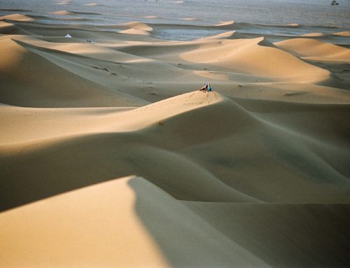 Marche et Qi Gong dans le désert 12- 21 février 2024
